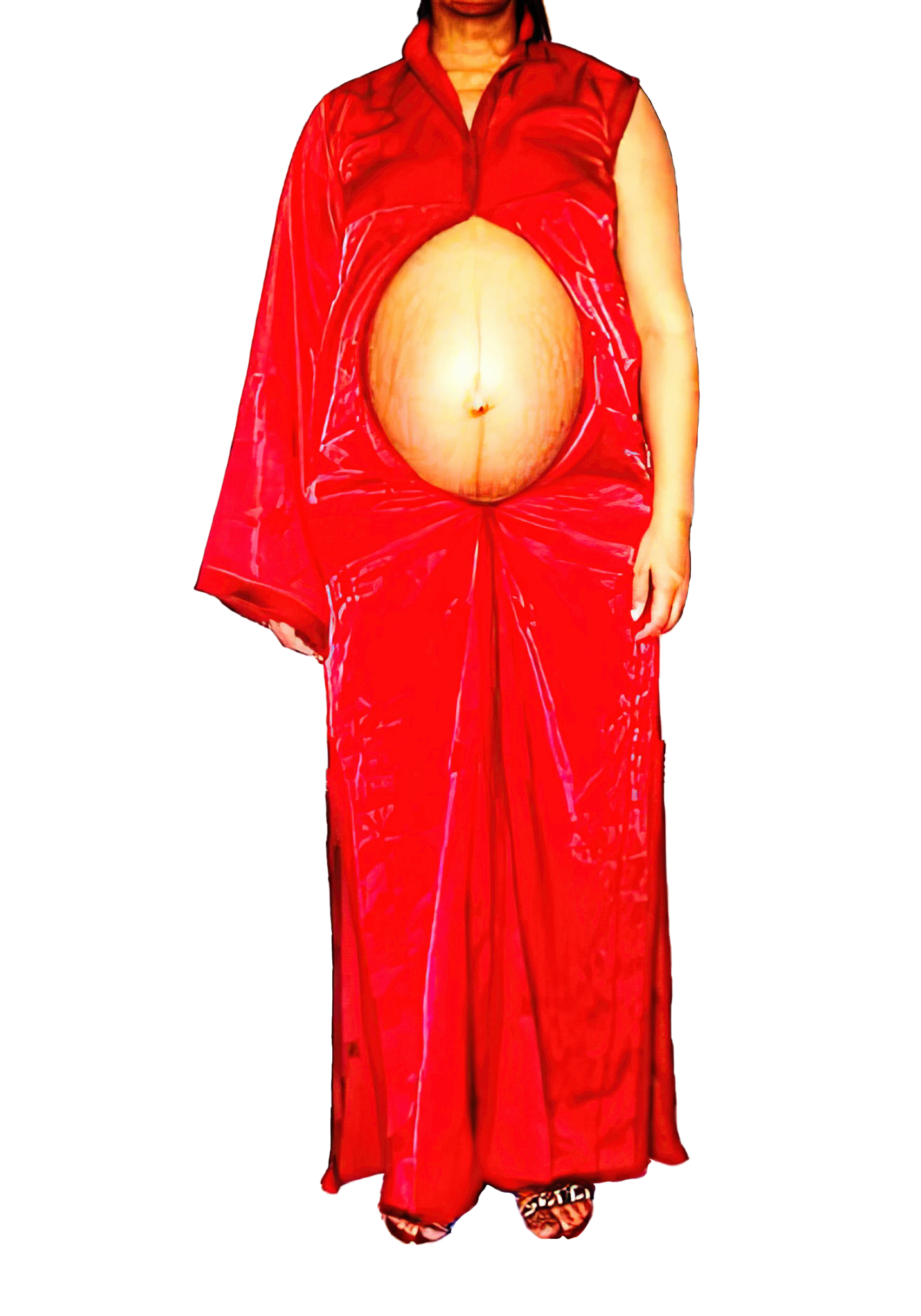 Le Corps Pansant - 2009